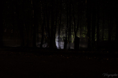 08.-Juli-2022-4835web