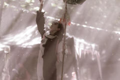 JCK00451